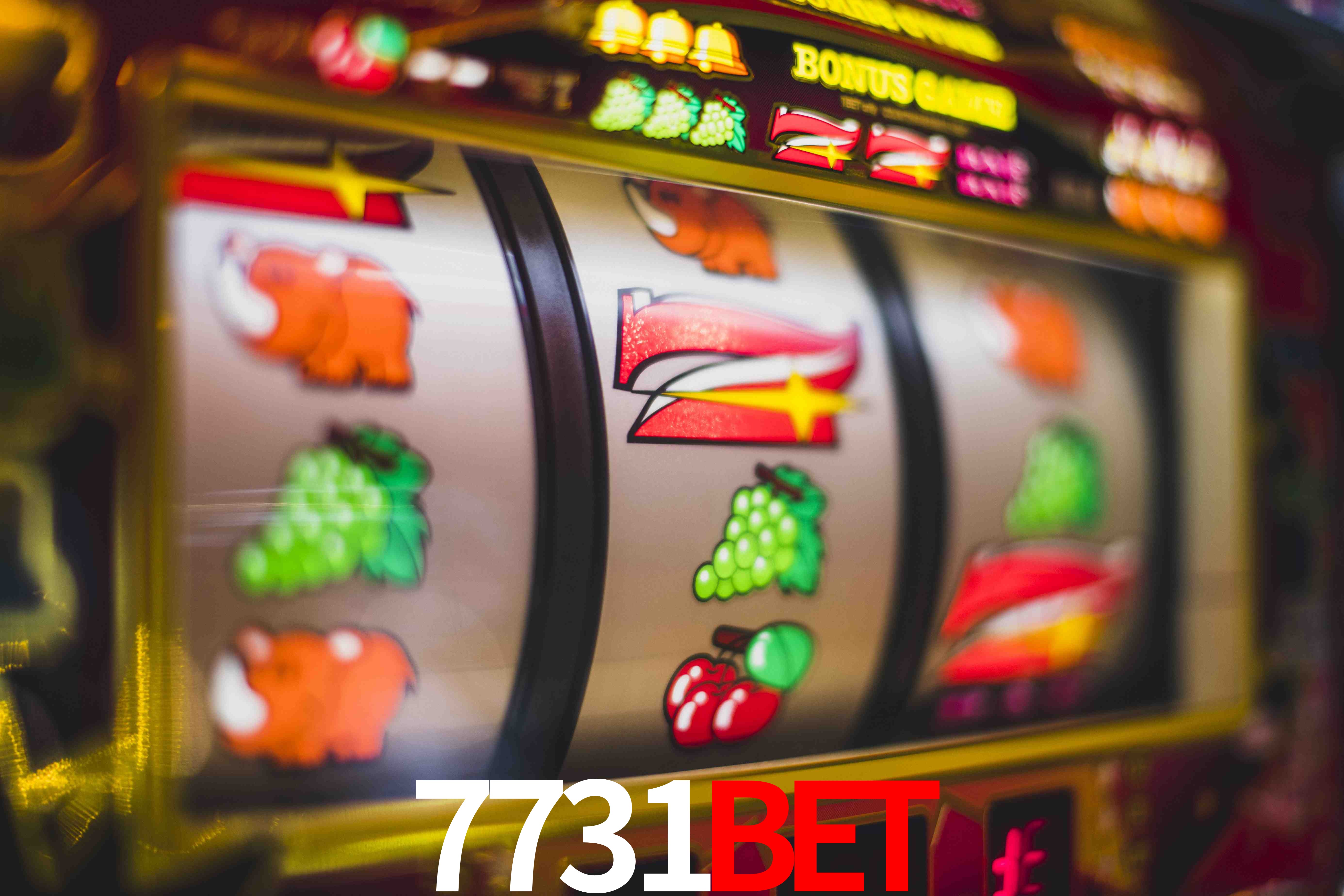 Crash Games Statistics 7731bet